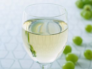 从实战出发看语音助手的价值